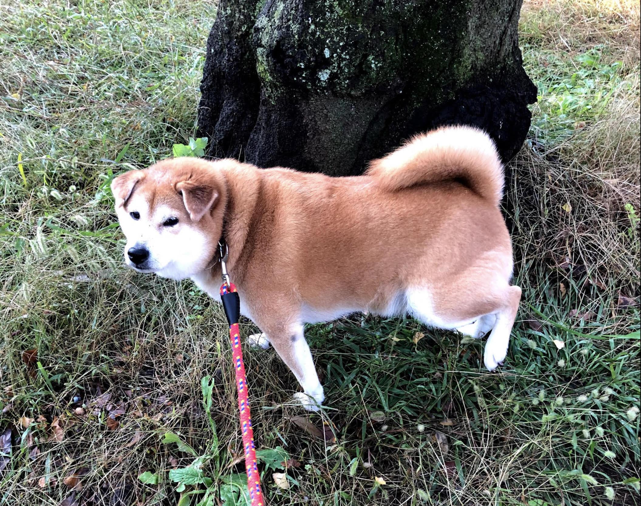 健康一口メモ 健康一口メモ